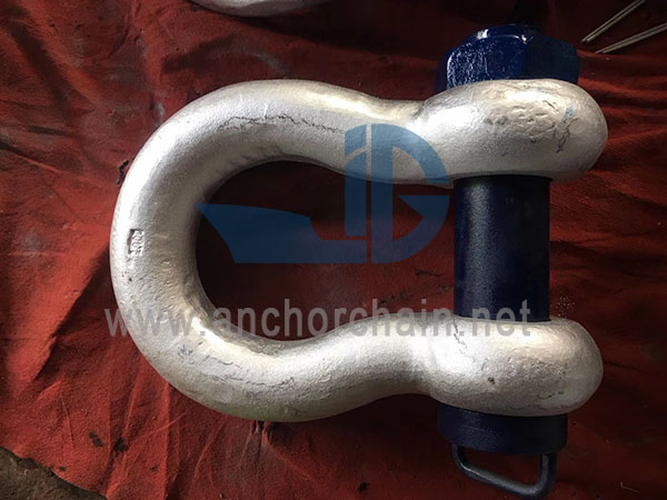 پاپیون نوع اروپایی