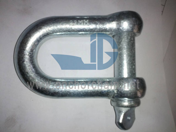 تیپ اروپایی Dee Shackle