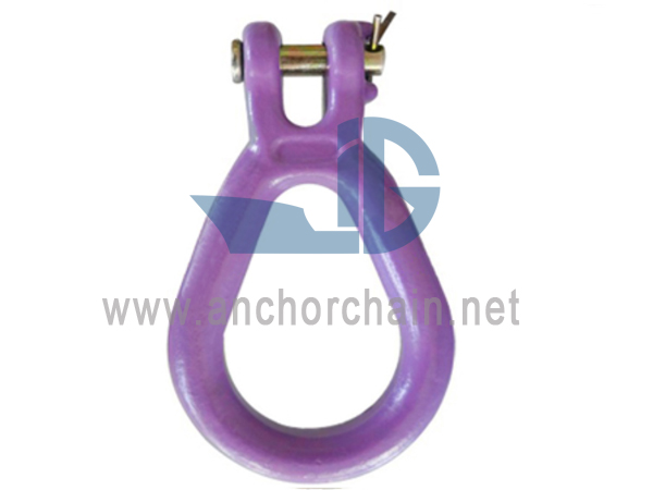 پیوند گلابی شکل G80 Clevis